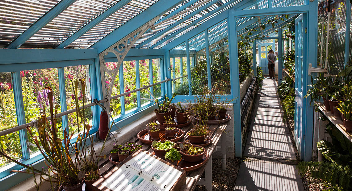 Darwin’s greenhouse in Kent is one of many accessible places to visit - come rain or shine!