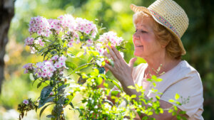 An older woman in a sunhat smiles as she gently touches pink flowers in a garden. She is surrounded by lush green foliage on a sunny day, enjoying the beauty of nature up close.
