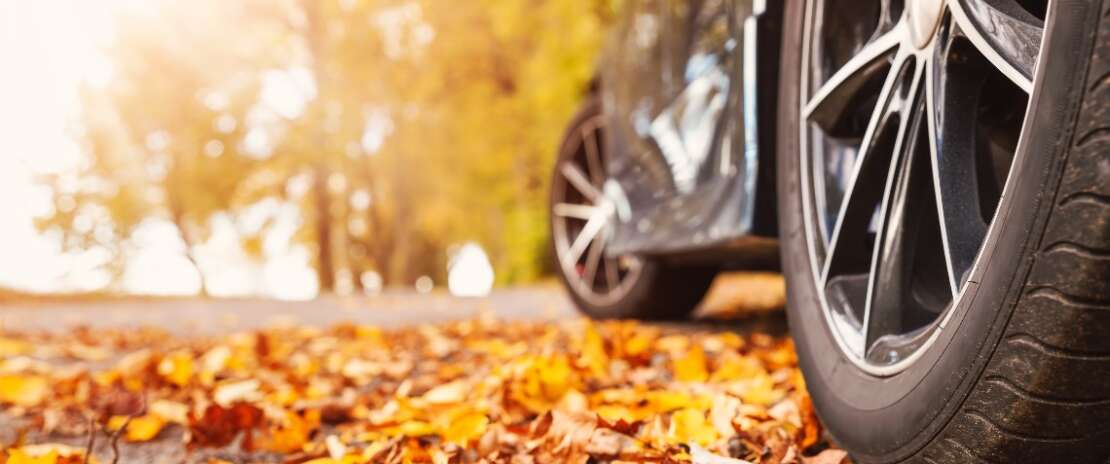 Your guide to a safe autumn drive