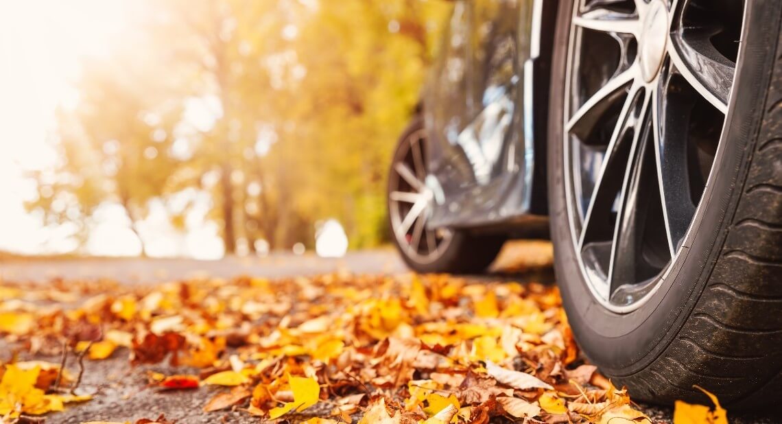 Car on asphalt road on autumn day at park. Colored leaves lying under the wheels of the vehicle.