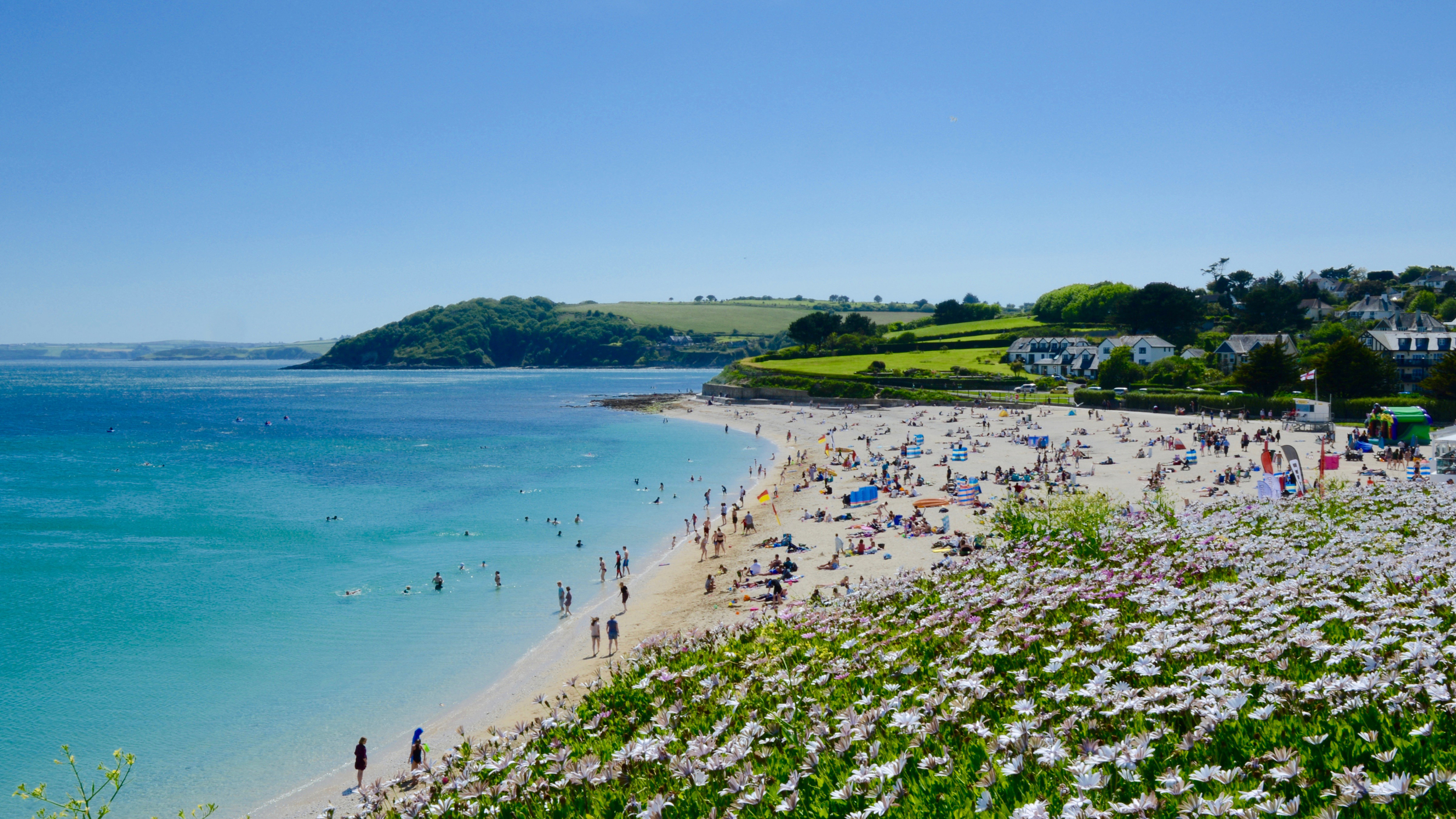 A wide sandy beach on a sunny day, with people swimming, sunbathing, and enjoying the sea. The turquoise water stretches into the distance, and a hillside covered in green fields and houses overlooks the bay. In the foreground, purple and white flowers bloom along the edge of the coast.