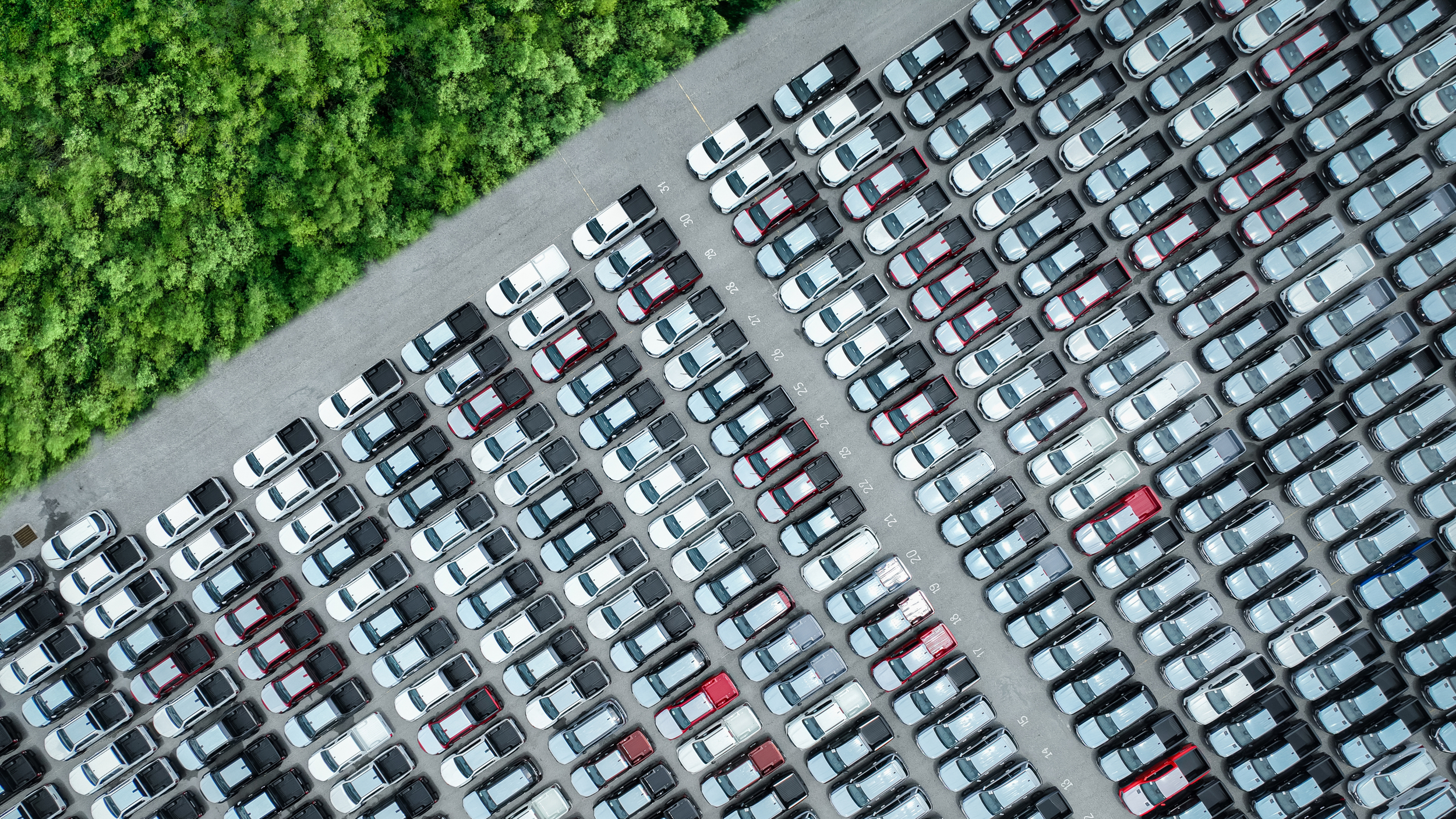 Aerial view of a large car park filled with rows of white, black, silver, and red vehicles, bordered by dense green trees on one side.