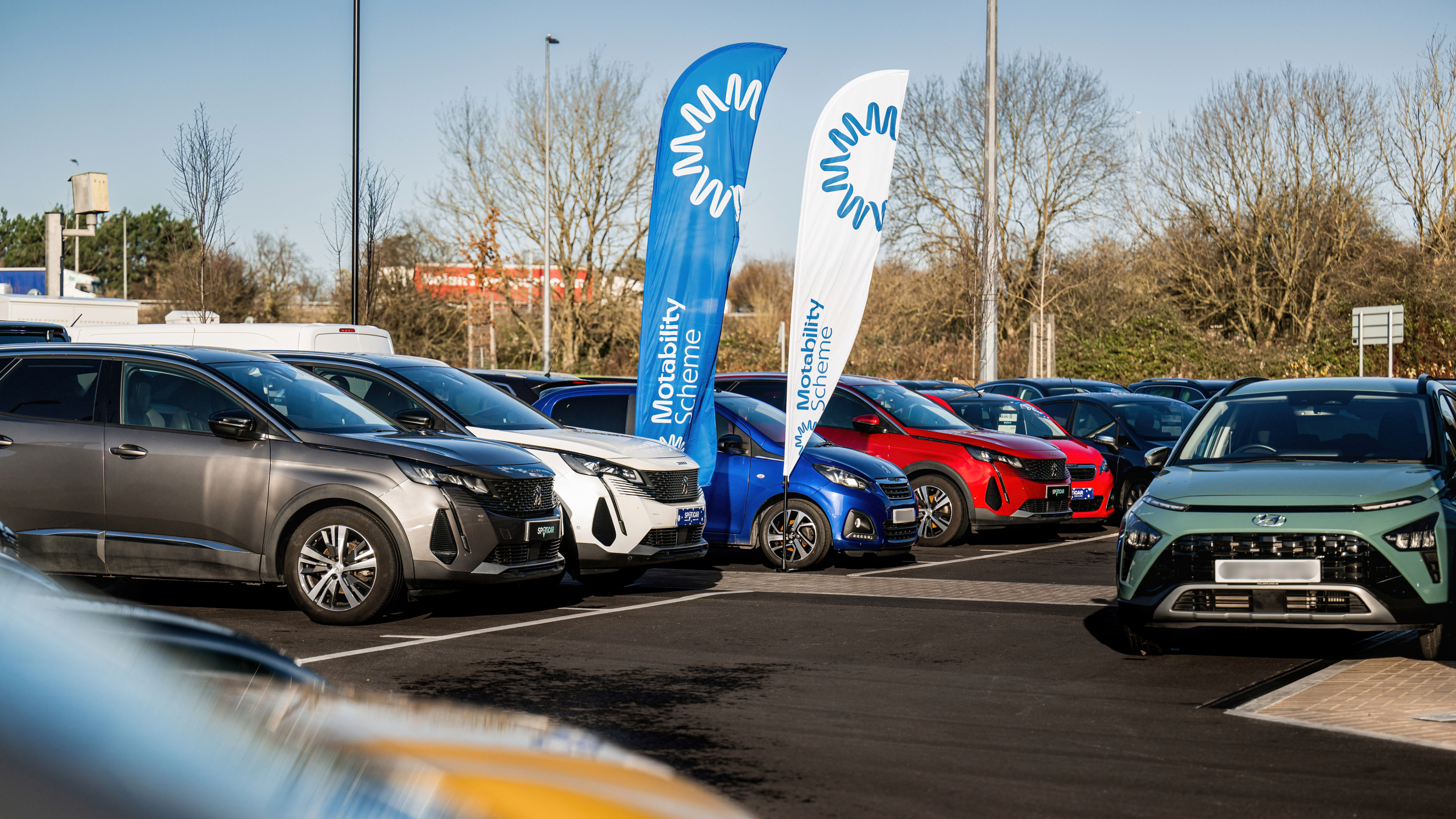 A row of parked cars in a dealership forecourt with two tall blue and white Motability Scheme flags in the centre. The vehicles are different models and colours including grey, white, blue, red and green.